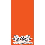 25-11-2008 - naujokat - hugo_baer - Hugo-Banner.gif